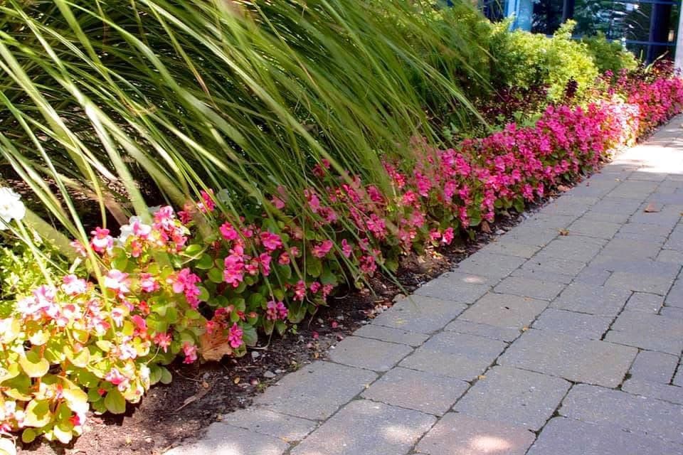 Colourful flower border along paver walkway at commercial property