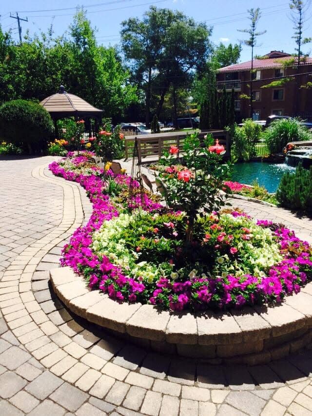 Raised circular flower bed with colourful annuals in retirement community courtyard