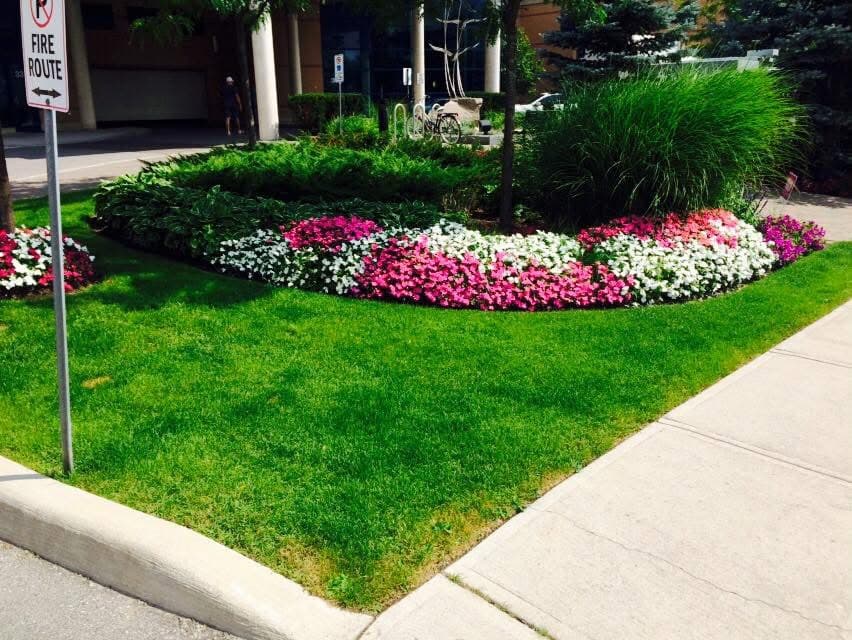 Commercial property entrance with curved flower bed and manicured lawn