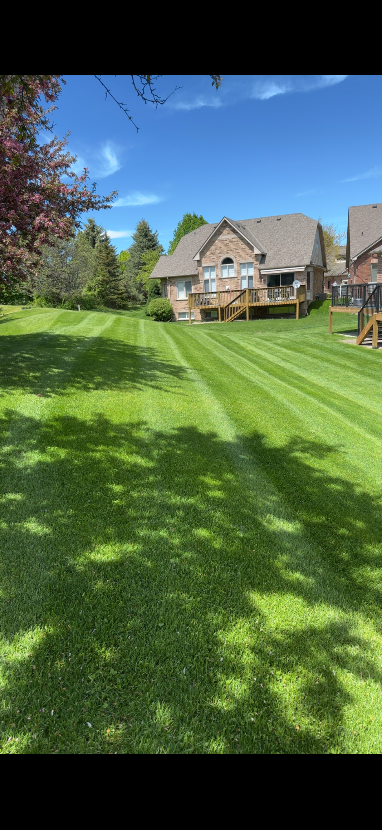 Perfectly mowed residential lawn under blue summer sky