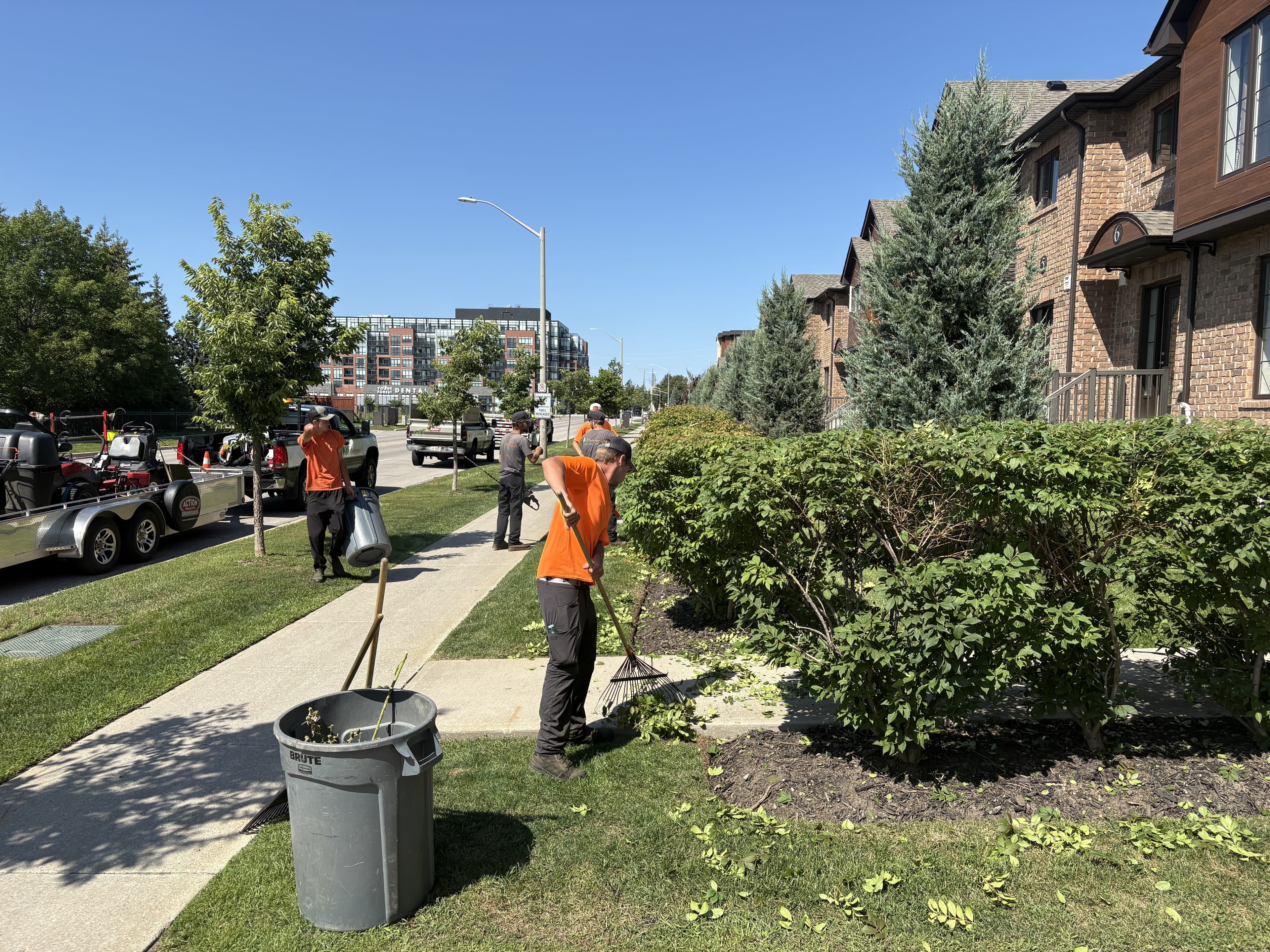 Crew raking garden beds along townhome streetfront