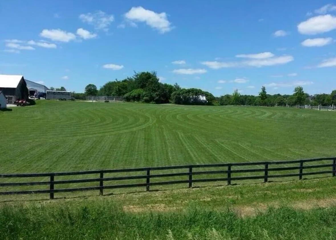 Large mowed estate property with curved cut patterns