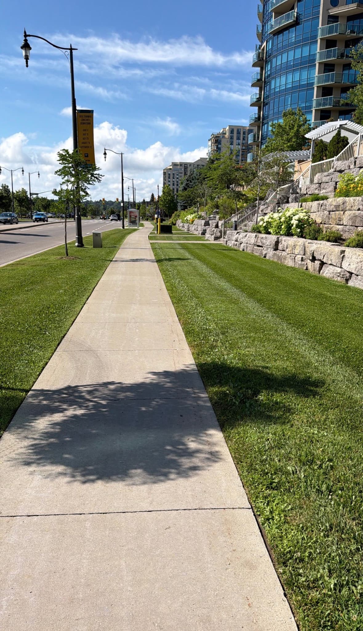 Mowed lawn and median alongside urban condo tower