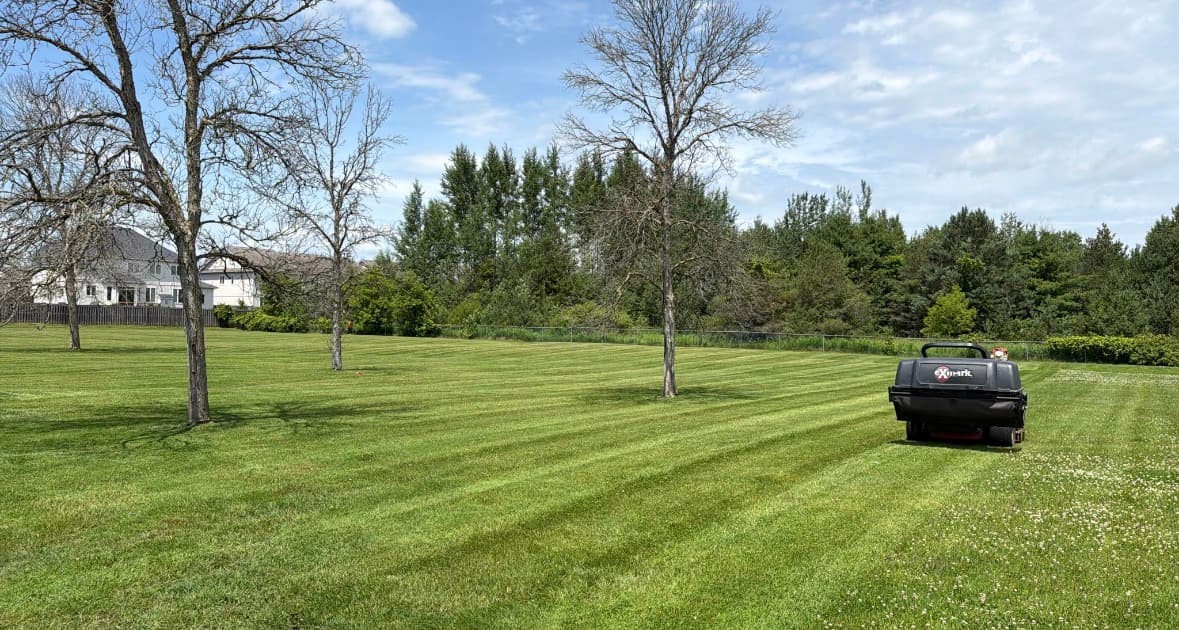 Lawn maintenance and grounds care